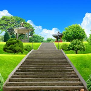 Rèm Cuốn Tranh Giá Rẻ/ Rèm Cuốn Uy Tín Rèm Cuốn Tranh Giá Rẻ/ Rèm Cuốn Uy Tín